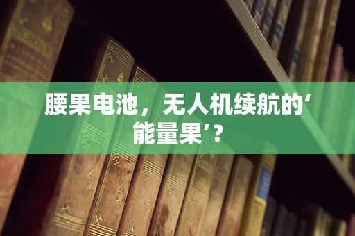 腰果电池，无人机续航的‘能量果’？