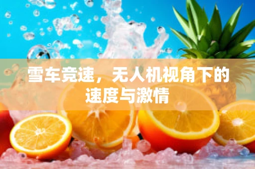 雪车竞速，无人机视角下的速度与激情