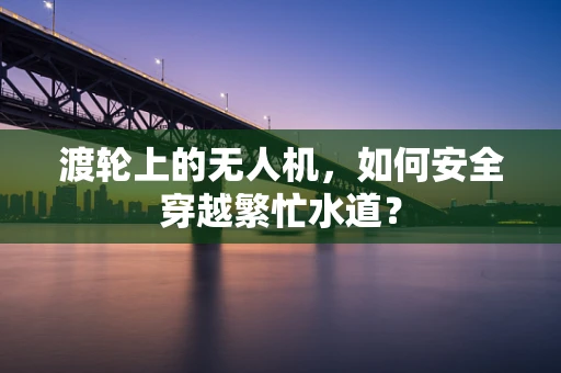 渡轮上的无人机，如何安全穿越繁忙水道？
