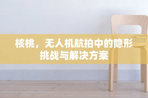 核桃，无人机航拍中的隐形挑战与解决方案