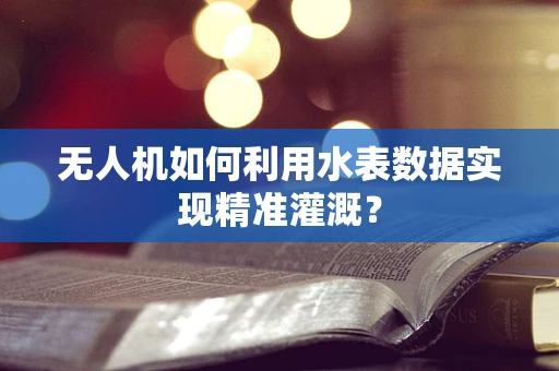 无人机如何利用水表数据实现精准灌溉？