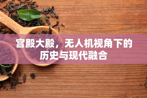 宫殿大殿，无人机视角下的历史与现代融合