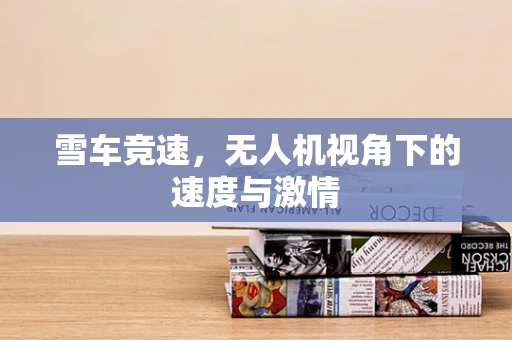 雪车竞速，无人机视角下的速度与激情