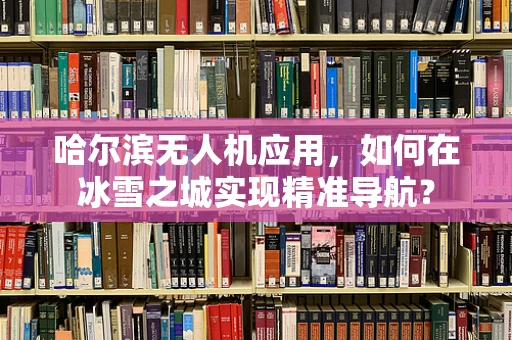 哈尔滨无人机应用，如何在冰雪之城实现精准导航？