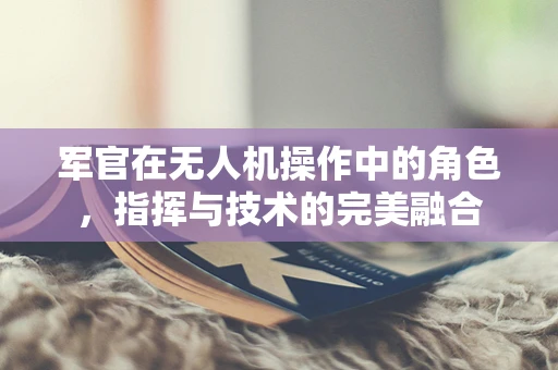 军官在无人机操作中的角色，指挥与技术的完美融合