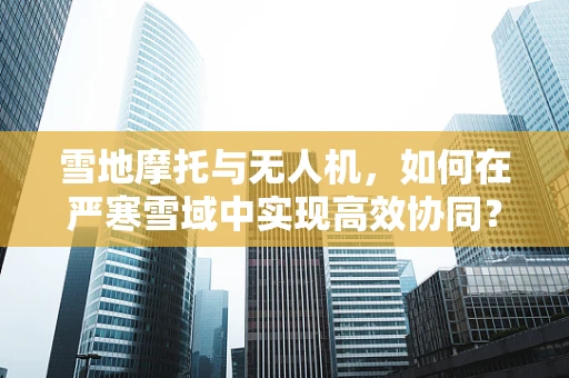雪地摩托与无人机，如何在严寒雪域中实现高效协同？