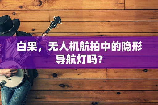 白果，无人机航拍中的隐形导航灯吗？