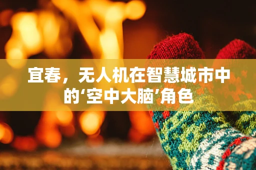 宜春，无人机在智慧城市中的‘空中大脑’角色