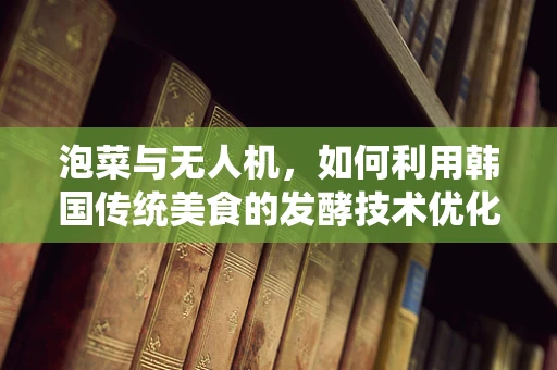 泡菜与无人机，如何利用韩国传统美食的发酵技术优化无人机电池性能？