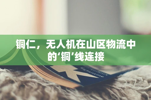 铜仁，无人机在山区物流中的‘铜’线连接