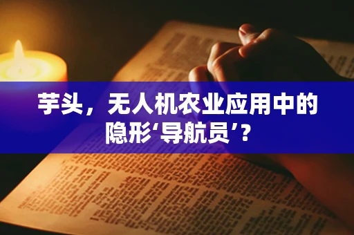芋头，无人机农业应用中的隐形‘导航员’？