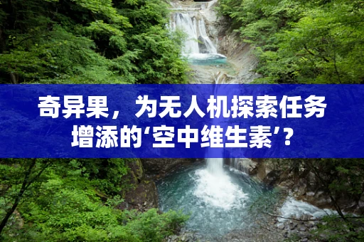 奇异果，为无人机探索任务增添的‘空中维生素’？