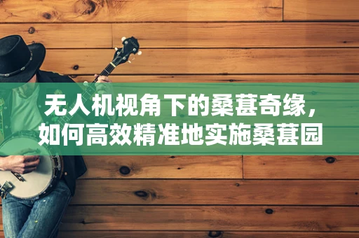 无人机视角下的桑葚奇缘，如何高效精准地实施桑葚园空中监测？