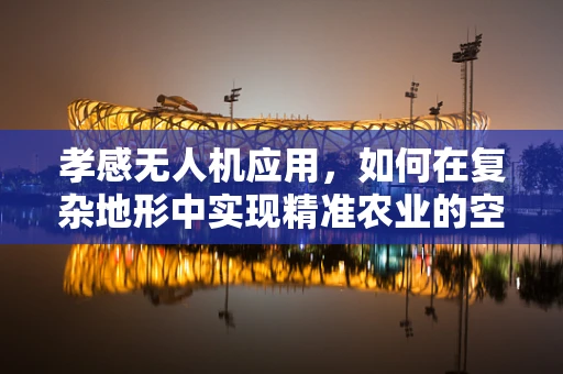 孝感无人机应用，如何在复杂地形中实现精准农业的空中之眼？
