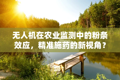 无人机在农业监测中的粉条效应，精准施药的新视角？