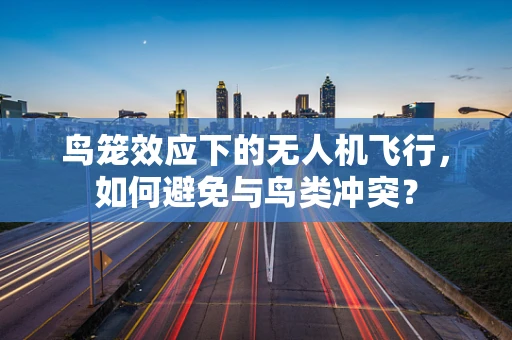 鸟笼效应下的无人机飞行，如何避免与鸟类冲突？