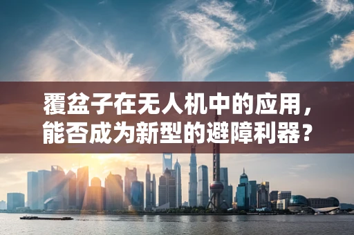 覆盆子在无人机中的应用，能否成为新型的避障利器？