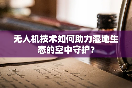 无人机技术如何助力湿地生态的空中守护？
