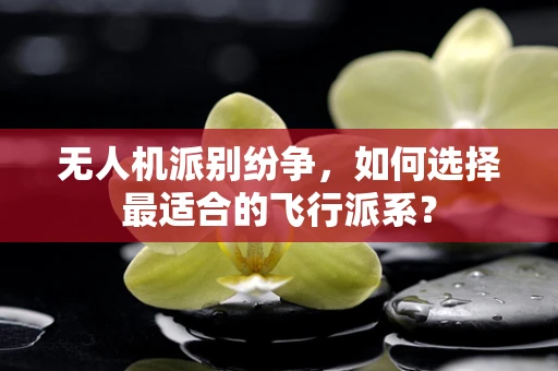 无人机派别纷争，如何选择最适合的飞行派系？