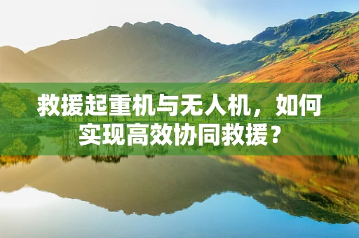 救援起重机与无人机，如何实现高效协同救援？