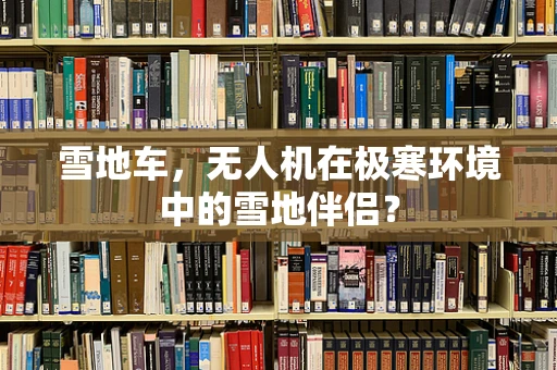 雪地车，无人机在极寒环境中的雪地伴侣？