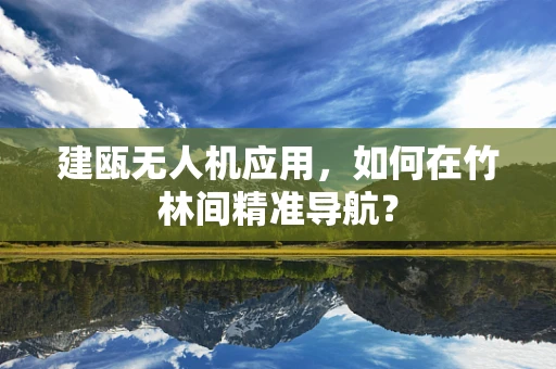 建瓯无人机应用，如何在竹林间精准导航？