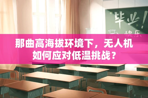 那曲高海拔环境下，无人机如何应对低温挑战？