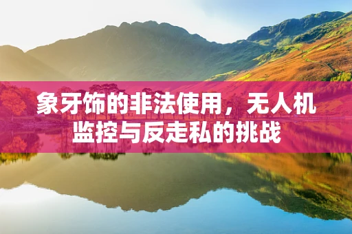 象牙饰的非法使用，无人机监控与反走私的挑战