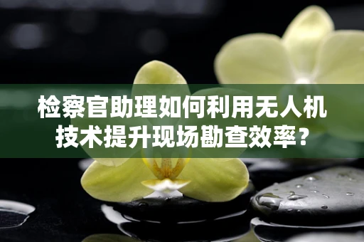 检察官助理如何利用无人机技术提升现场勘查效率？