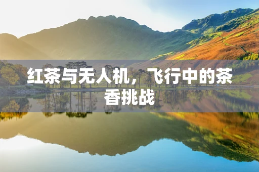 红茶与无人机，飞行中的茶香挑战