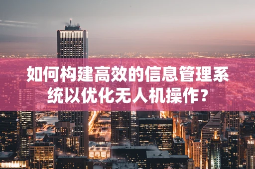 如何构建高效的信息管理系统以优化无人机操作？