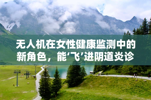 无人机在女性健康监测中的新角色，能‘飞’进阴道炎诊断的未来吗？