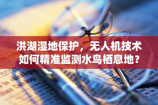 洪湖湿地保护，无人机技术如何精准监测水鸟栖息地？