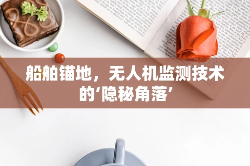 船舶锚地，无人机监测技术的‘隐秘角落’
