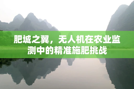 肥城之翼，无人机在农业监测中的精准施肥挑战