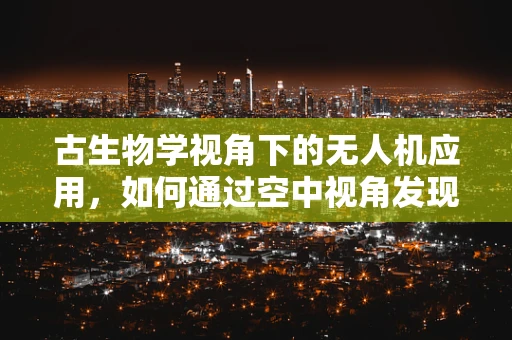 古生物学视角下的无人机应用，如何通过空中视角发现史前遗迹？