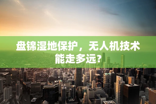 盘锦湿地保护，无人机技术能走多远？