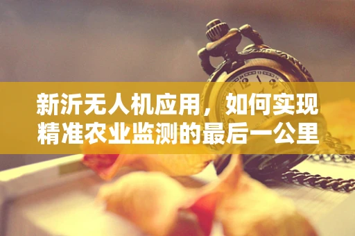 新沂无人机应用，如何实现精准农业监测的最后一公里？
