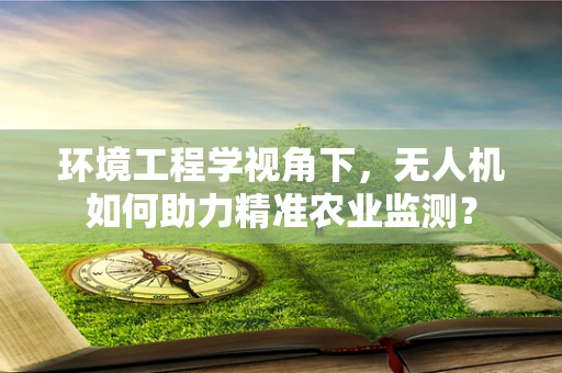 环境工程学视角下，无人机如何助力精准农业监测？