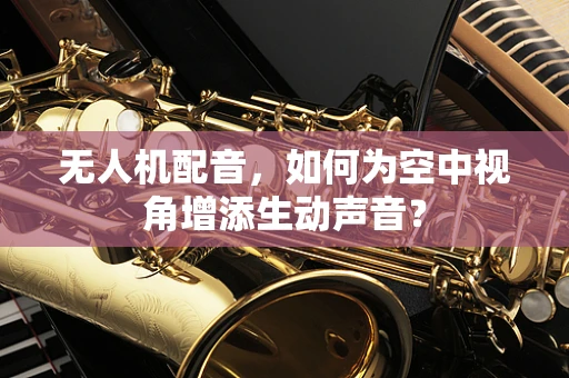 无人机配音，如何为空中视角增添生动声音？