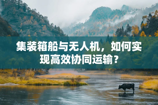 集装箱船与无人机，如何实现高效协同运输？