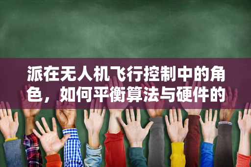 派在无人机飞行控制中的角色，如何平衡算法与硬件的完美‘配对’？