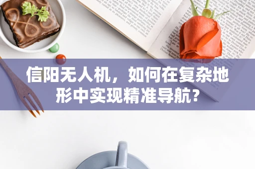 信阳无人机，如何在复杂地形中实现精准导航？