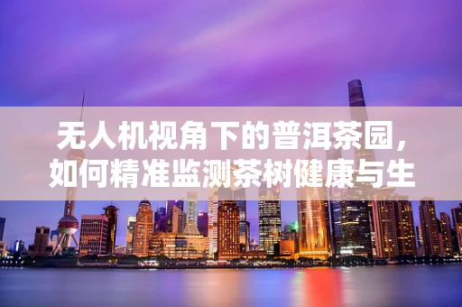 无人机视角下的普洱茶园，如何精准监测茶树健康与生长环境？