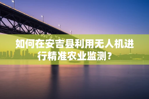 如何在安吉县利用无人机进行精准农业监测？