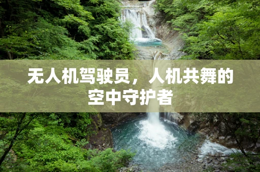 无人机驾驶员，人机共舞的空中守护者