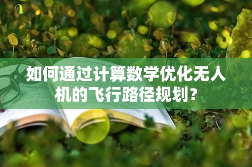 如何通过计算数学优化无人机的飞行路径规划？