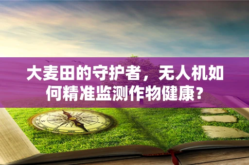 大麦田的守护者，无人机如何精准监测作物健康？