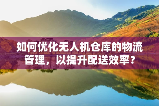 如何优化无人机仓库的物流管理，以提升配送效率？