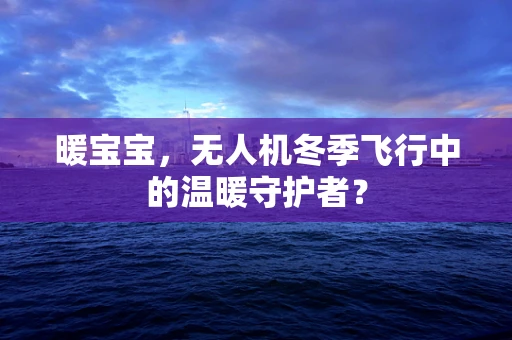 暖宝宝，无人机冬季飞行中的温暖守护者？